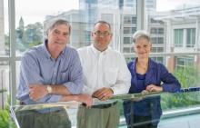 Early Bottlenecks in Developing Biopharmaceutical Products Delay Commercialization