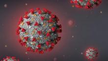 Coronavirus Illustration (BME Stock)